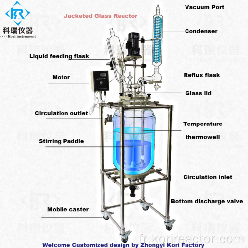 Cuve de réaction chemisée de réacteur doublée de verre SF-10L Lab